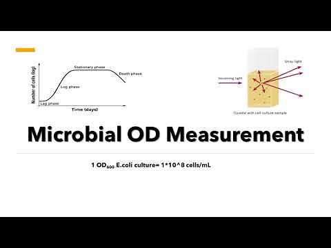 Microbial OD600 Measurement - Optical Density Measurement Principle and Method