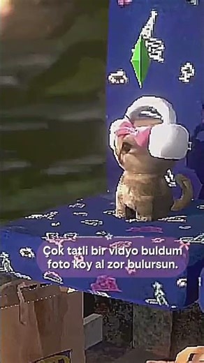 nasıl kedicik #keşfet #ytdayibenionecikarnolur #edit