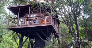 Take your romantic getaway into the treetops