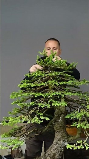 Big Bertha needed a total re-set