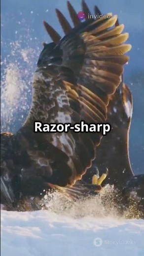 Great Horned Owl vs. Hawk | Epic Clash of Sky Predators! #animals #facts