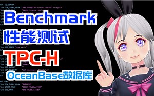 一杯茶，一包烟，一个测试跑一天～～底层数据库小V首次尝试跑TPC-H Benchmark 性能测试的艰辛历程