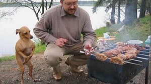 The Funniest Dogs of the Month - 1Funny.com