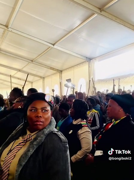 Celebrating Zulu Culture: A State Funeral Perspective
