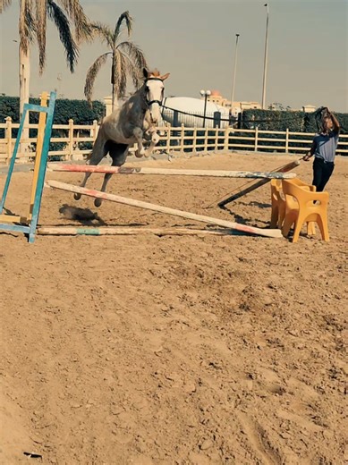 Cheetos Jumping Challenge: Can They Reach New Heights?
