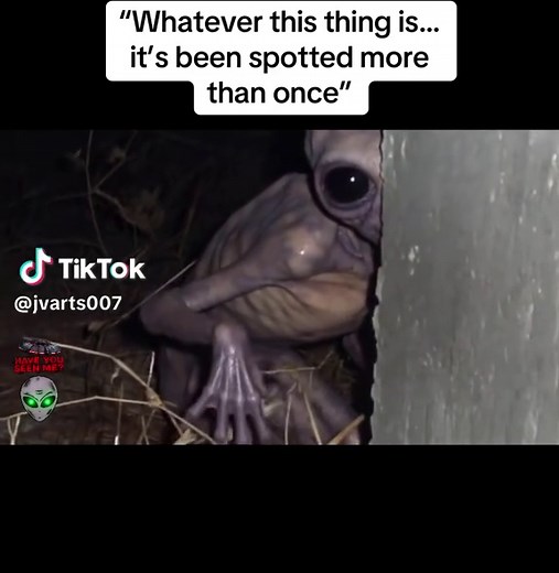 This is circulating the internet and nobody knows what it is 👁️👽 this cant be real? #fyp #ufo #uap #alien #extraterrestrial