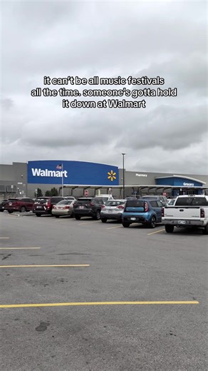 i’m allergic to dust anyways | walmart