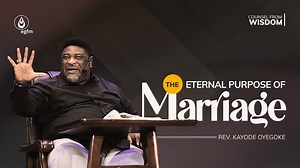 3.7K views · 310 reactions | The world is a negative wisdom crafted...