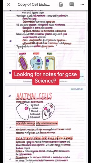 GCSE Science Notes and Resources