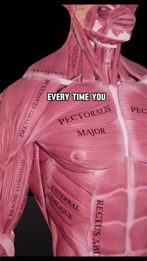 How to fix shoulder pain with bench press @Muscle and Motion | Bench Press