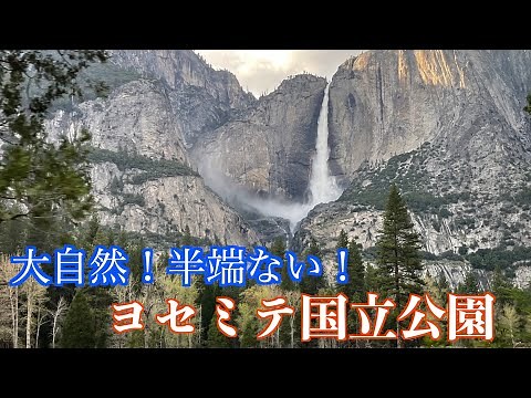 【アメリカ西海岸の旅】一生に一度は行くべき！ヨセミテ国立公園〜ダイナミックなアメリカの自然を大満喫