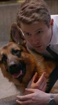 Hudson & Rex Season 9 | Charlie Returns, Mark Stays & Rex Faces His Biggest Dilemma Yet!