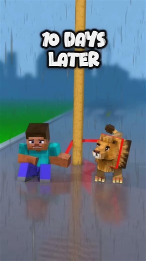 Help Steve And Lion #minecraft #minecraftanimation #minecraftshorts