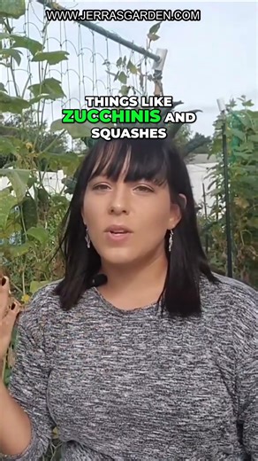 Mastering Cucumber Gardening: Essential Tips for Beginners