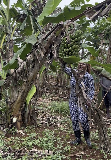 Farm Owner's Journey: Expanding My Uganda Farm