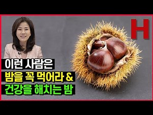 밤을 꼭 먹어야 하는 이유 & 밤 먹으면 안 되는 사람 가을제철 밤 총정리!