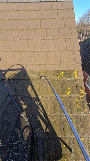 ASMR Pressure Washing for a Sparkling Clean