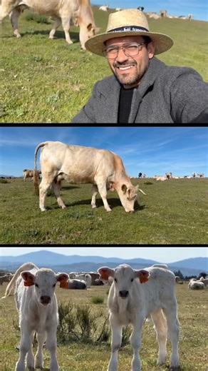 Qurban hunt in Spain 😄🇪🇸