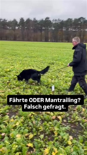 Wolle Maschewski | Spür- und Suchhunde on Instagram: "Fährtenarbeit und Mantrailing werden oft gegeneinander ausgespielt. Völlig unnötig. 👉 Wir sprechen hier von sportlicher Fährtenarbeit – nicht von Jagd, nicht von Wild, nicht von Hetze. Fährte heißt: bodennah, ruhig, extrem präzise. Jede kleine Abweichung von der Bodenverletzung zählt. In Prüfungen? Punktabzug. Ohne Diskussion. Mantrailing fordert anders: Umwelt, Fremdgerüche, Kreuzungen, Untergründe. Der Hund muss differenzieren, entscheiden
