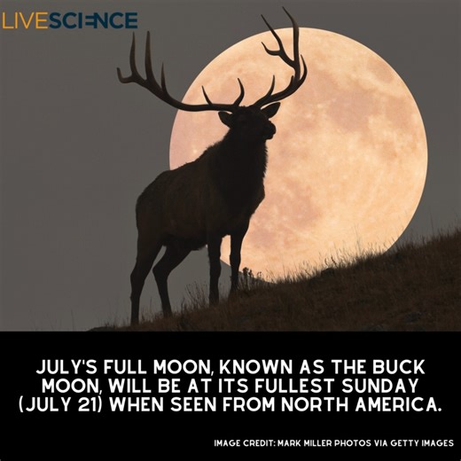 6.8K views · 85 reactions | July's full moon — also known as the Buck Moon, the Thunder Moon and the Hay Moon — will be at its fullest on the night of July 21. It's the last "regular" full moon before a parade of four consecutive "supermoons" light up the sky. Read more  https://trib.al/QcrvvI3 | LiveScience | Facebook