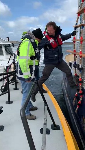 Maritime Pilot Training VI - Pilot Ladder Training