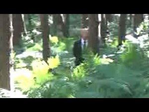 The Slenderman Caught On Camera 2015