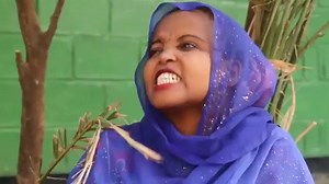 Diraama diaspora  | Oromo Protests | Facebook