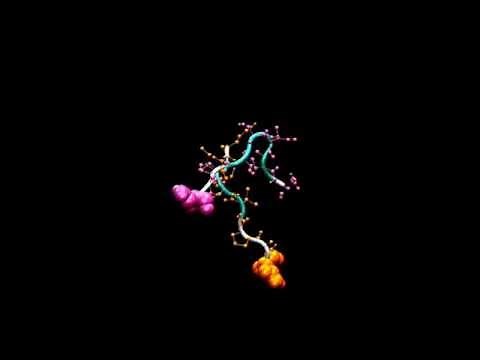 Molecular Dynamics Simulation of self assembling Peptide in gromacs