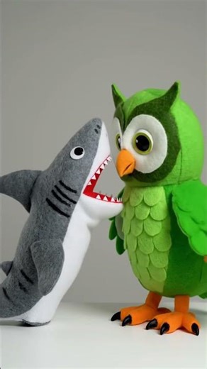 Shark puppet was slap by Duolingo