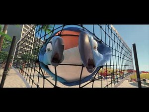 RIO | Movie Clip: Hang Glider