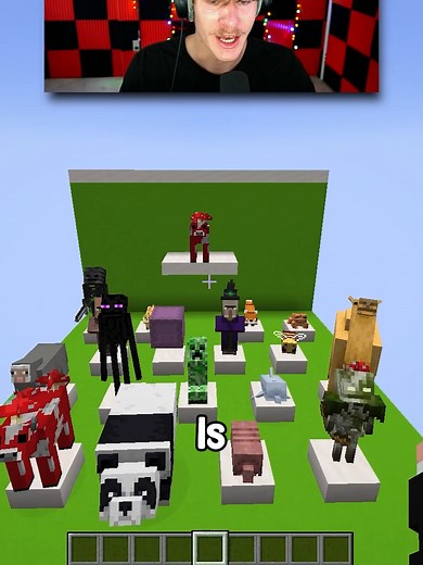 Minecraft Guess the Mob Challenge!