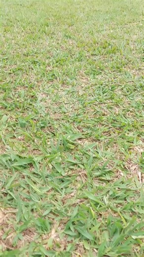 Check this out. #skydive #skydiving #gopro #parachute #skydiver #sky_3 | Sky4Dive