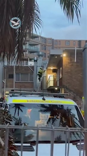 A man remains in a critical but stable condition after falling four storeys at Dee Why last night. | Manly Observer