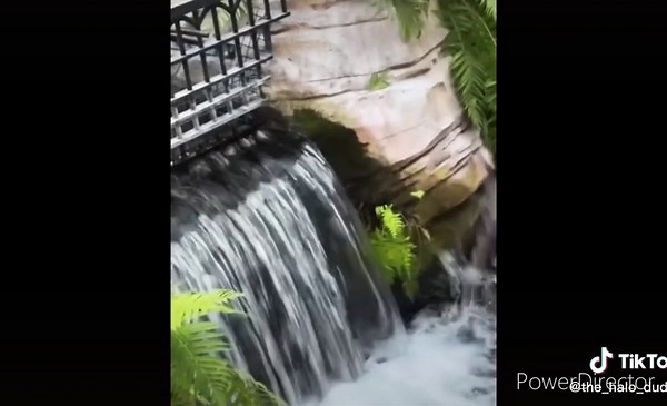 Alligator falling down a cliff meme