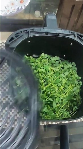 How To Dry Herbs (Coriander & Fenugreek) in air fryer |Quick 6-Minute Hack
