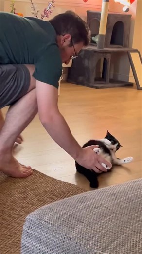 Behind the scene of Lilo attacks 😆 #cat | Lilochipie