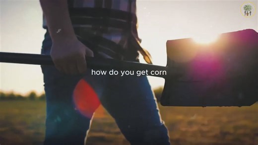 The everyday mindset of high achievers