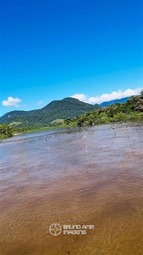 1.5K views · 65 reactions | Dicas para se fazer imagens de animais que se deslocam rápido: - configure a qualidade do vídeo para 4K - configure os quadros entre 60fps e 120fps - use as linhas de grade para ajudar a centralizar o animal em deslocamento (nem sempre vai ser fácil) - se tiver em espaço seguro, coloque o voo no modo Sport #drone #dronepilot #photo #dji #brunoamirimagens  Bruno Amir Imagens www.brunoamir.com.br | Bruno Amir Imagens | Facebook