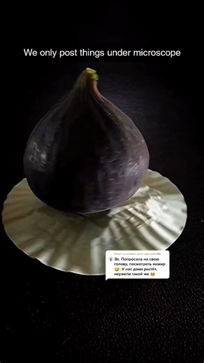 Things Under Microscope on Instagram: "Unlock a hidden world —discover the fascinating beauty of everyday things under the microscope! #MicroscopeMagic #HiddenWorlds #MicroBeauty #UnderTheScope #ScienceIsCool #CloseUpView #TinyUniverse #MicroWonder #ScienceDaily #ZoomedIn #MicroscopyLove #EverydayScience #AmazingDetails #MicroLife #InvisibleWorld"