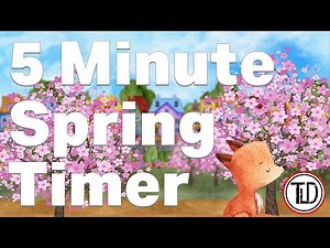 5 Minute Spring Timer (2022)