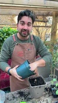 The easy guide to planting Dahlias #gardeningtips #dahlia