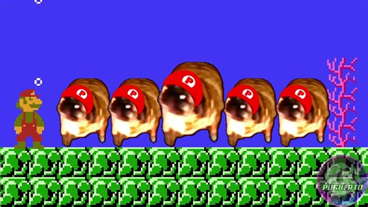 41K views · 4.8K reactions | "Underwater Theme" Super Mario Bros. (1985) | Pugberto Dancing Multiverse | Facebook