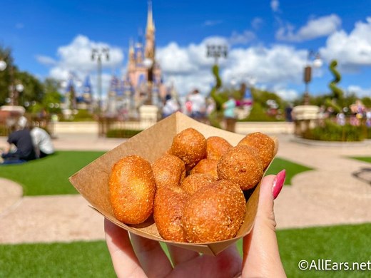 The Best Snacks in Disney World's Magic Kingdom for 2026 - AllEars.Net