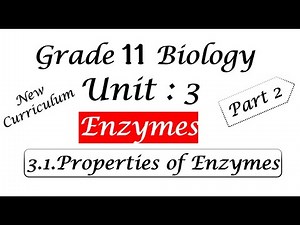 Grade 11 Biology Unit 3: Enzymes - Part 2 Class 11 Biology / New Curriculum / Globe Dock.