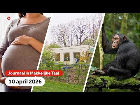 Discriminatie zwangere vrouwen, rechtszaak over kleine school, grootste apengroep uit elkaar