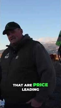 Dump Trailer Hoists Explained: Single Ram vs. Scissor vs. Telescopic #shorts