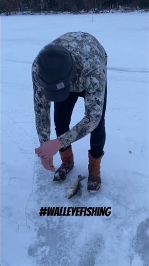 Walleyes Love This Tip Up #fishing #icefishing #outdooradventure #reels
