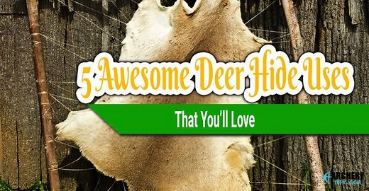 5 Awesome Deer Hide Uses That You’ll Love