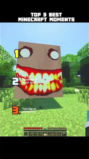 The BEST Minecraft BRO Moments Of 2025