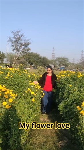 flower love #viral #flower #gardening #ytshorts #shorts